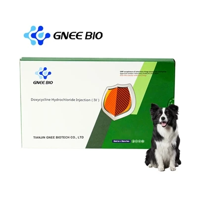 X'Għandek Tkun Taf Jekk Il-Veterinarju Tiegħek Jippreskrivi Doxycycline Għall-Kelb jew Qatts Tiegħek